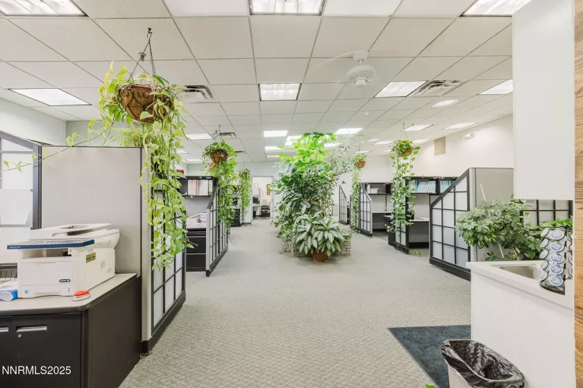 106 Front, Elko, Nevada 89801, ,Commercial Sale,Residential,Front,250054752