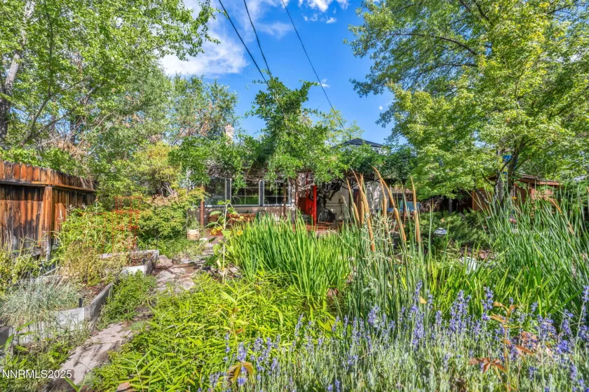1633 Knox, Reno, Nevada 89509, 3 Bedrooms Bedrooms, ,3 BathroomsBathrooms,Residential,Residential,Knox,250054775
