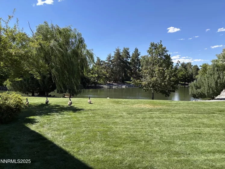 4801 Reggie, Reno, Nevada 89502, 2 Bedrooms Bedrooms, ,2 BathroomsBathrooms,Residential,Residential,Reggie,250054788