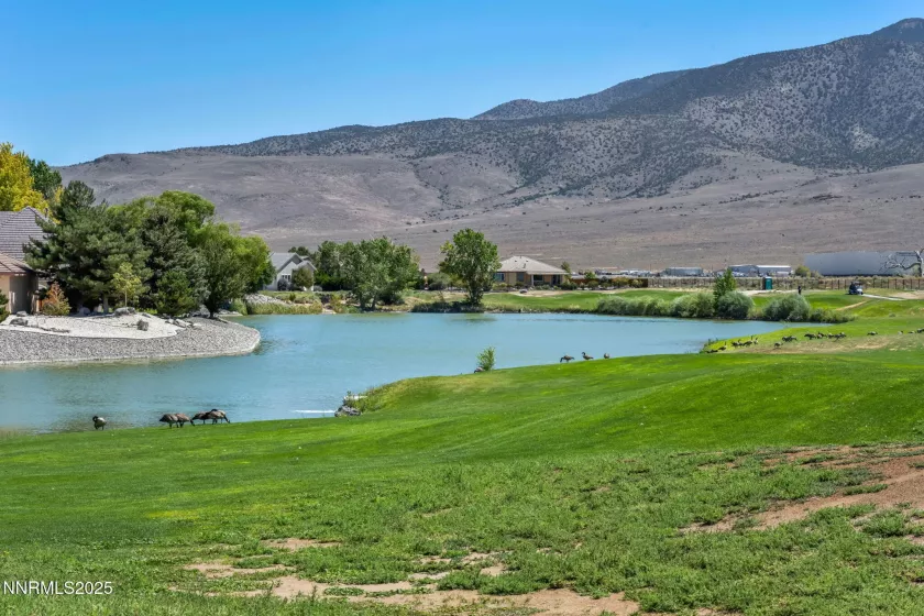 408 Pebble Beach, Dayton, Nevada 89403, 4 Bedrooms Bedrooms, ,3 BathroomsBathrooms,Residential,Residential,Pebble Beach,250054793