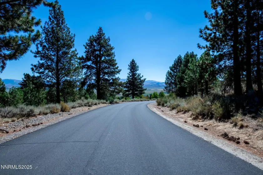 880 Stutler Creek, Gardnerville, Nevada 89460, ,Land,Residential,Stutler Creek,250054799