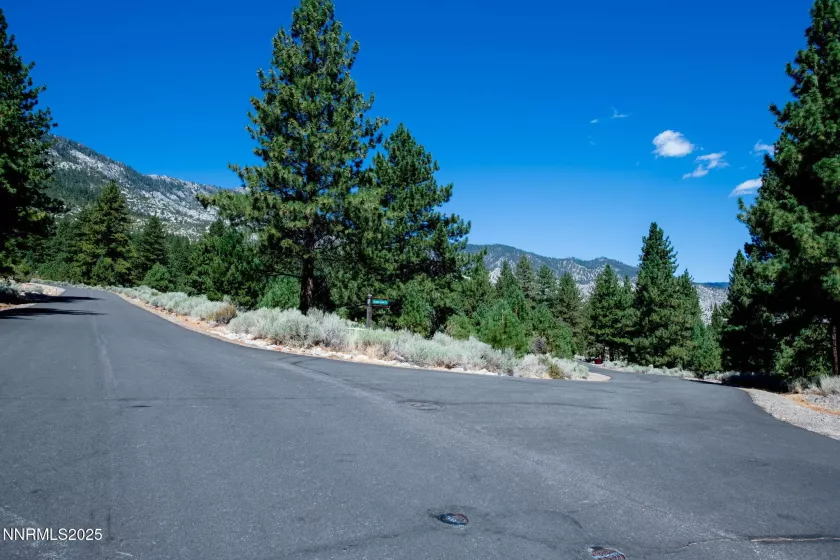 880 Stutler Creek, Gardnerville, Nevada 89460, ,Land,Residential,Stutler Creek,250054799