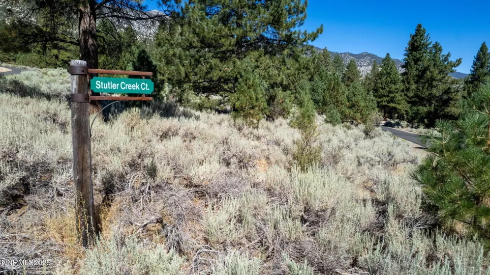 880 Stutler Creek, Gardnerville, Nevada 89460, ,Land,Residential,Stutler Creek,250054799