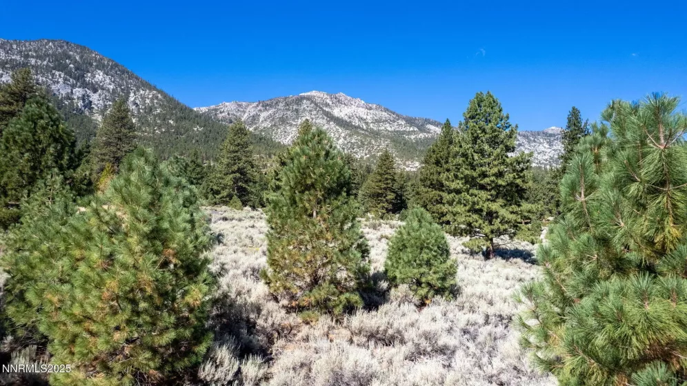 880 Stutler Creek, Gardnerville, Nevada 89460, ,Land,Residential,Stutler Creek,250054799