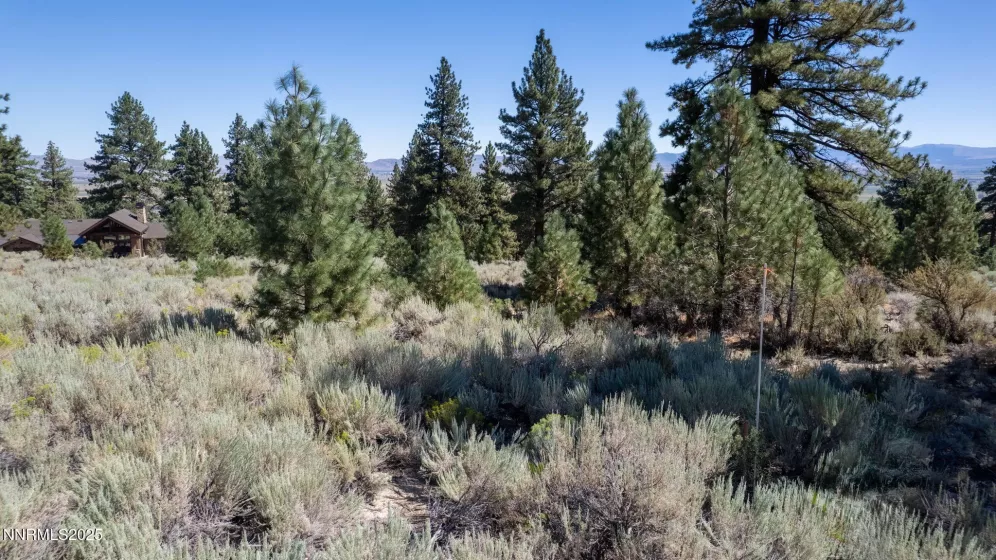 880 Stutler Creek, Gardnerville, Nevada 89460, ,Land,Residential,Stutler Creek,250054799
