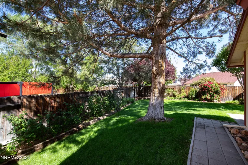 1843 Woodtrail, Sparks, Nevada 89434, 3 Bedrooms Bedrooms, ,2 BathroomsBathrooms,Residential,Residential,Woodtrail,250054801