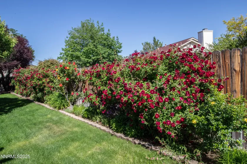1843 Woodtrail, Sparks, Nevada 89434, 3 Bedrooms Bedrooms, ,2 BathroomsBathrooms,Residential,Residential,Woodtrail,250054801