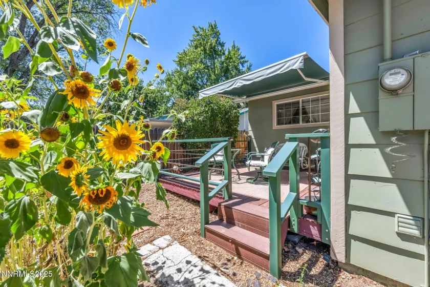 225 Tacoma, Carson City, Nevada 89703, 3 Bedrooms Bedrooms, ,2 BathroomsBathrooms,Residential,Residential,Tacoma,250053819
