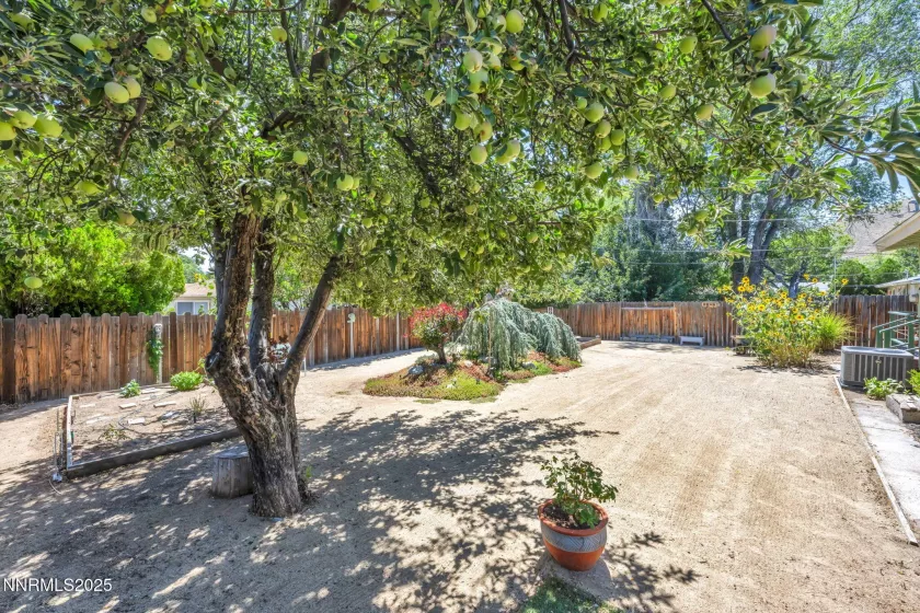 225 Tacoma, Carson City, Nevada 89703, 3 Bedrooms Bedrooms, ,2 BathroomsBathrooms,Residential,Residential,Tacoma,250053819