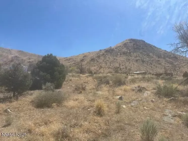 0 Pinon Place, Coleville, California 96107, ,Land,Residential,Pinon Place,250054818