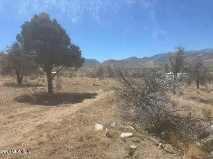0 Pinon Place, Coleville, California 96107, ,Land,Residential,Pinon Place,250054818