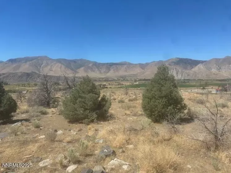 0 Pinon Place, Coleville, California 96107, ,Land,Residential,Pinon Place,250054818