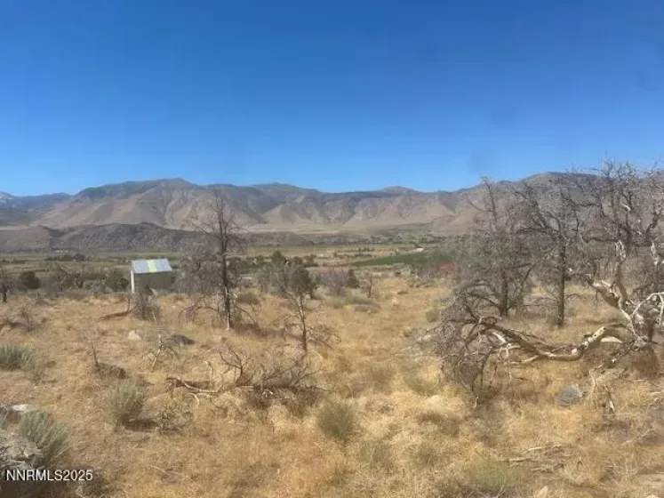 0 Pinon Place, Coleville, California 96107, ,Land,Residential,Pinon Place,250054818