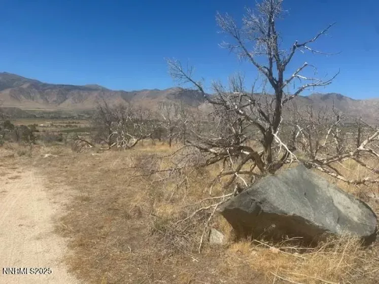 0 Pinon Place, Coleville, California 96107, ,Land,Residential,Pinon Place,250054818
