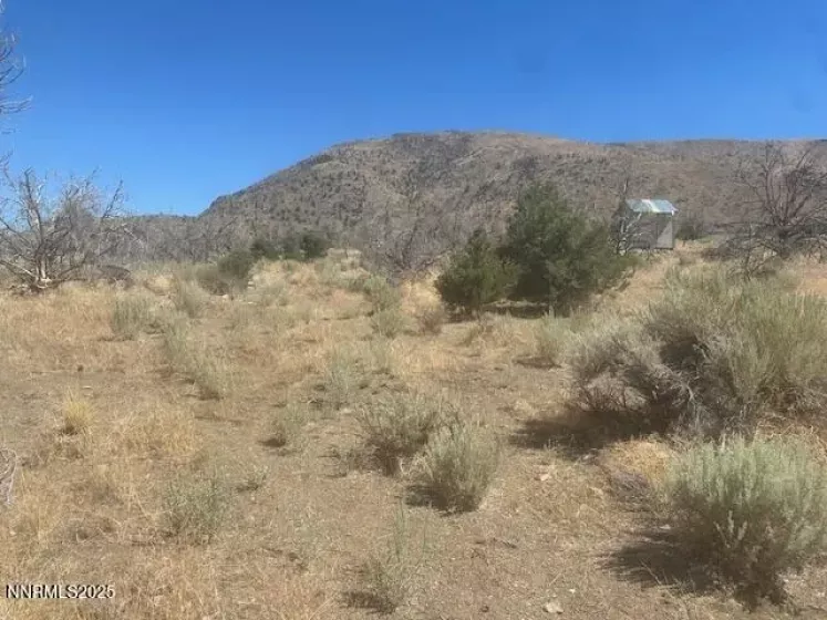 0 Pinon Place, Coleville, California 96107, ,Land,Residential,Pinon Place,250054818
