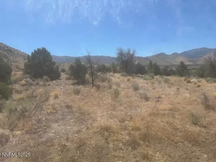 0 Pinon Place, Coleville, California 96107, ,Land,Residential,Pinon Place,250054818