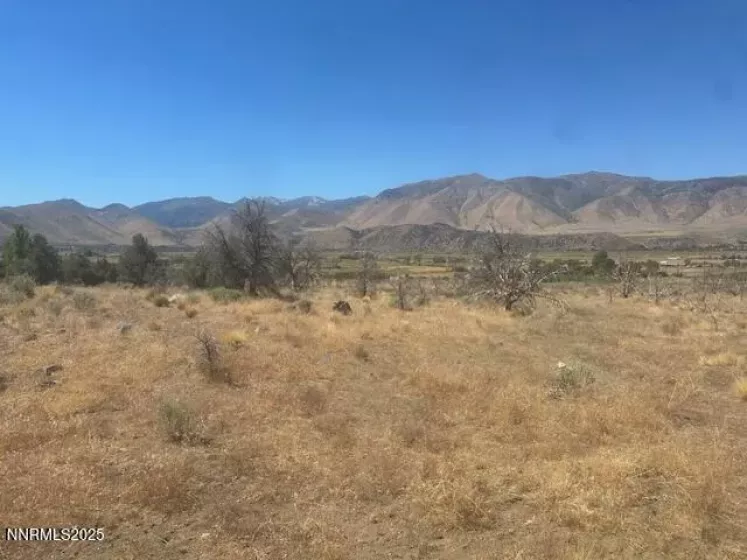 0 Pinon Place, Coleville, California 96107, ,Land,Residential,Pinon Place,250054818