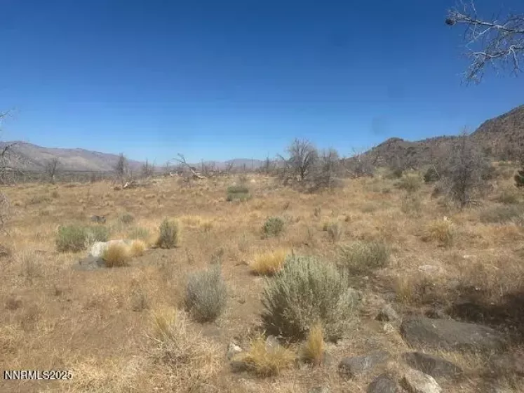 0 Pinon Place, Coleville, California 96107, ,Land,Residential,Pinon Place,250054818