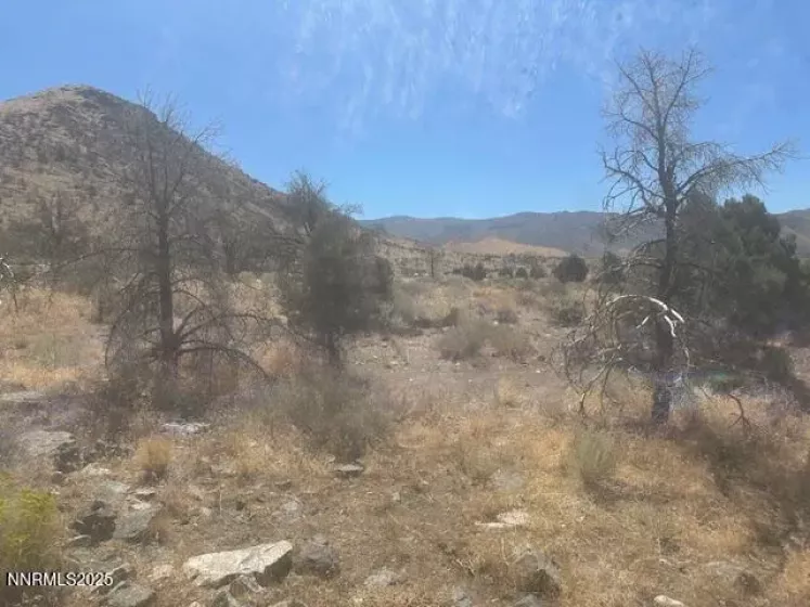 0 Pinon Place, Coleville, California 96107, ,Land,Residential,Pinon Place,250054818