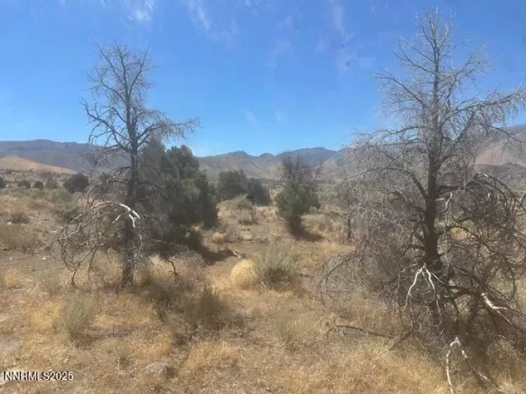 0 Pinon Place, Coleville, California 96107, ,Land,Residential,Pinon Place,250054818