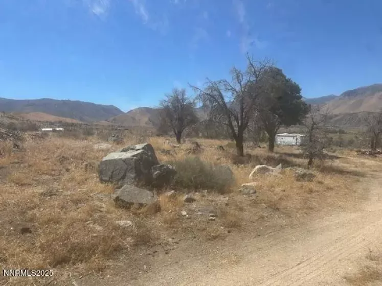 0 Pinon Place, Coleville, California 96107, ,Land,Residential,Pinon Place,250054818