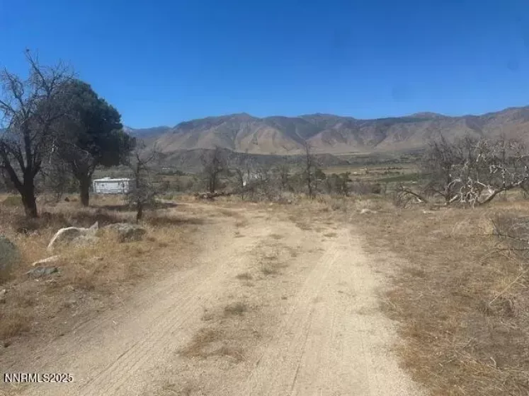 0 Pinon Place, Coleville, California 96107, ,Land,Residential,Pinon Place,250054818
