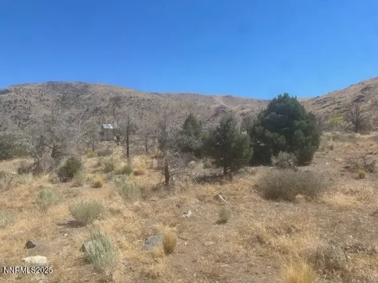 0 Pinon Place, Coleville, California 96107, ,Land,Residential,Pinon Place,250054818