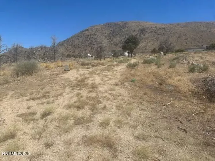 0 Pinon Place, Coleville, California 96107, ,Land,Residential,Pinon Place,250054818