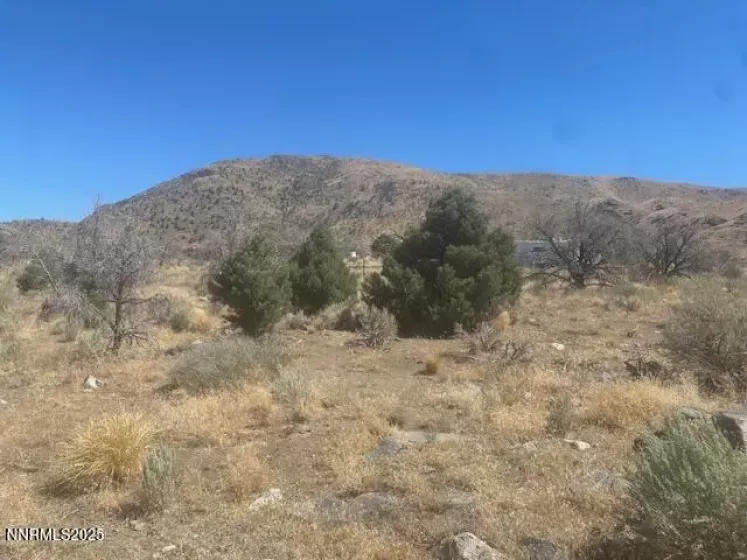 0 Pinon Place, Coleville, California 96107, ,Land,Residential,Pinon Place,250054818