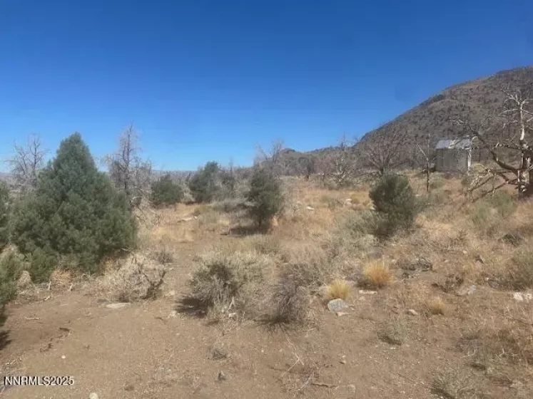 0 Pinon Place, Coleville, California 96107, ,Land,Residential,Pinon Place,250054818