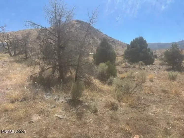 0 Pinon Place, Coleville, California 96107, ,Land,Residential,Pinon Place,250054818
