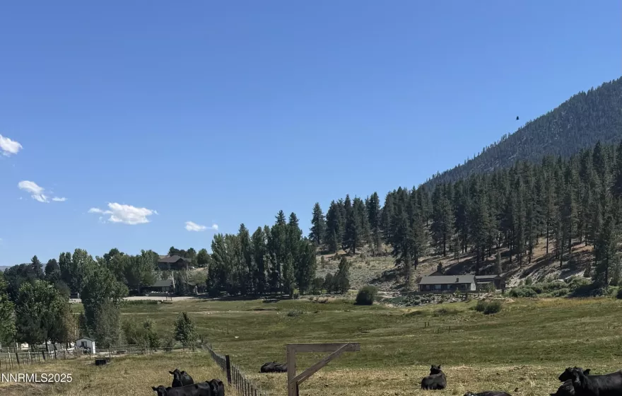 565 Jackson Ranch, Gardnerville, Nevada 89460, ,Land,Residential,Jackson Ranch,250054820