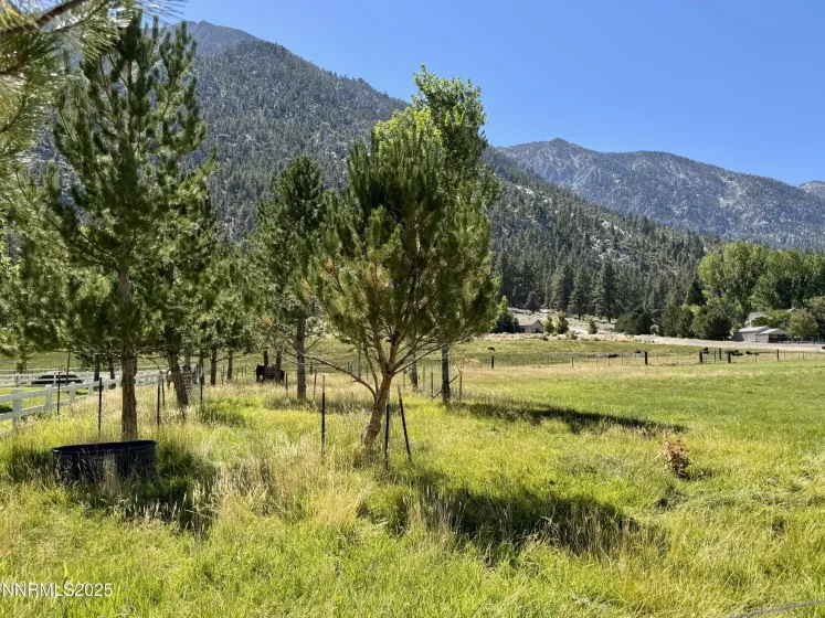 565 Jackson Ranch, Gardnerville, Nevada 89460, ,Land,Residential,Jackson Ranch,250054820