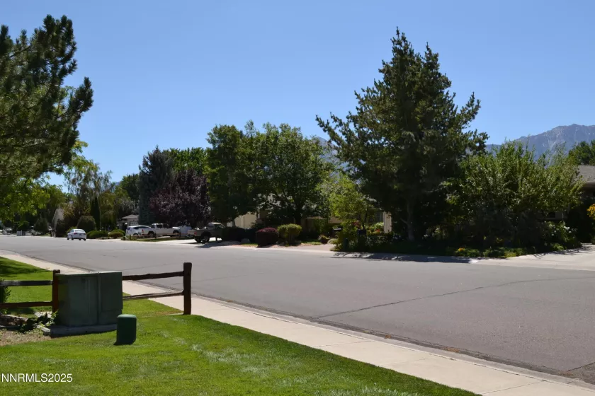 1625 Olua, Minden, Nevada 89423, 3 Bedrooms Bedrooms, ,2 BathroomsBathrooms,Residential,Residential,Olua,250054835