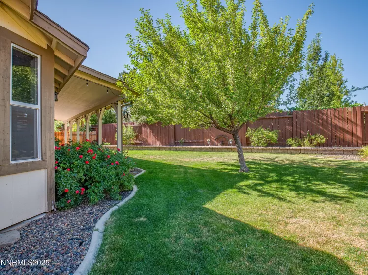 963 Desert, Carson City, Nevada 89705, 3 Bedrooms Bedrooms, ,2 BathroomsBathrooms,Residential,Residential,Desert,250053569