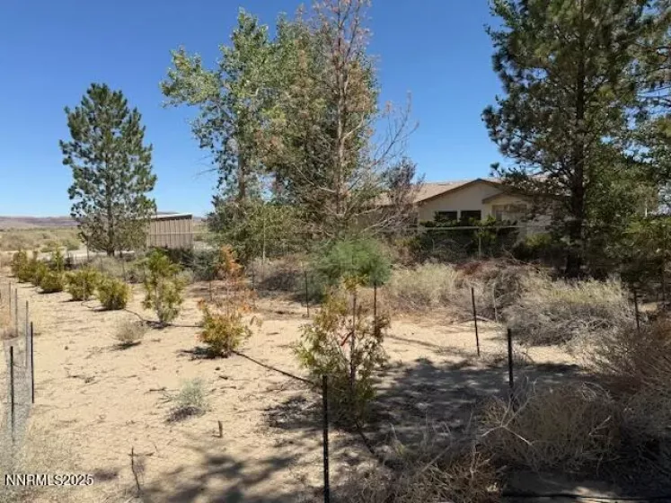 Front Yard Landscaping