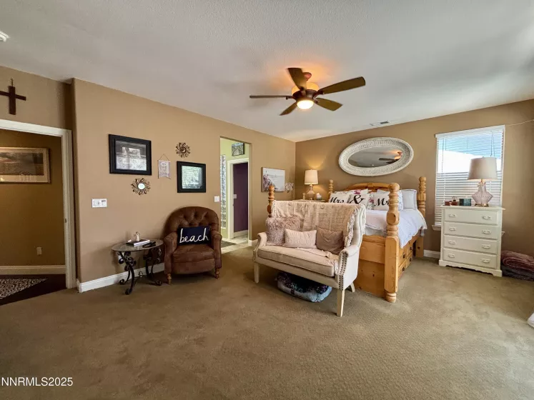 645 Paso Fino, Reno, Nevada 89521, 4 Bedrooms Bedrooms, ,4 BathroomsBathrooms,Residential,Residential,Paso Fino,250054901