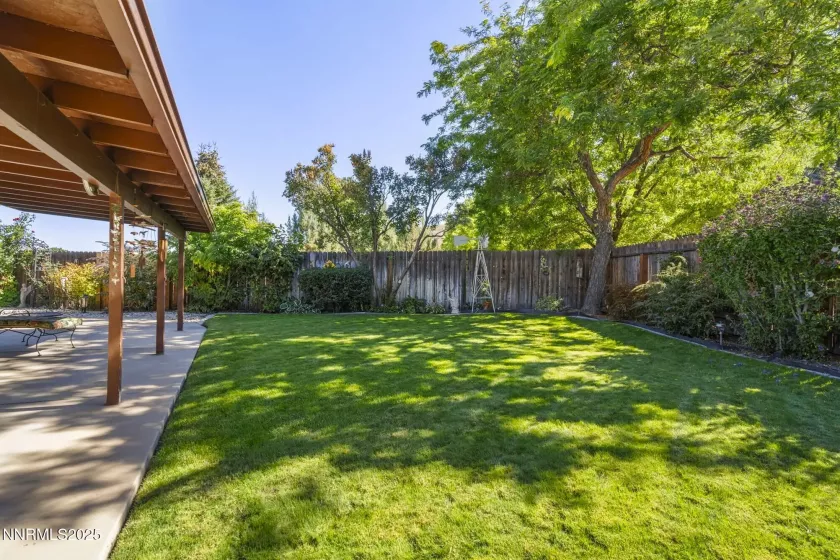 1339 Angels Camp, Carson City, Nevada 89703, 3 Bedrooms Bedrooms, ,2 BathroomsBathrooms,Residential,Residential,Angels Camp,250054909