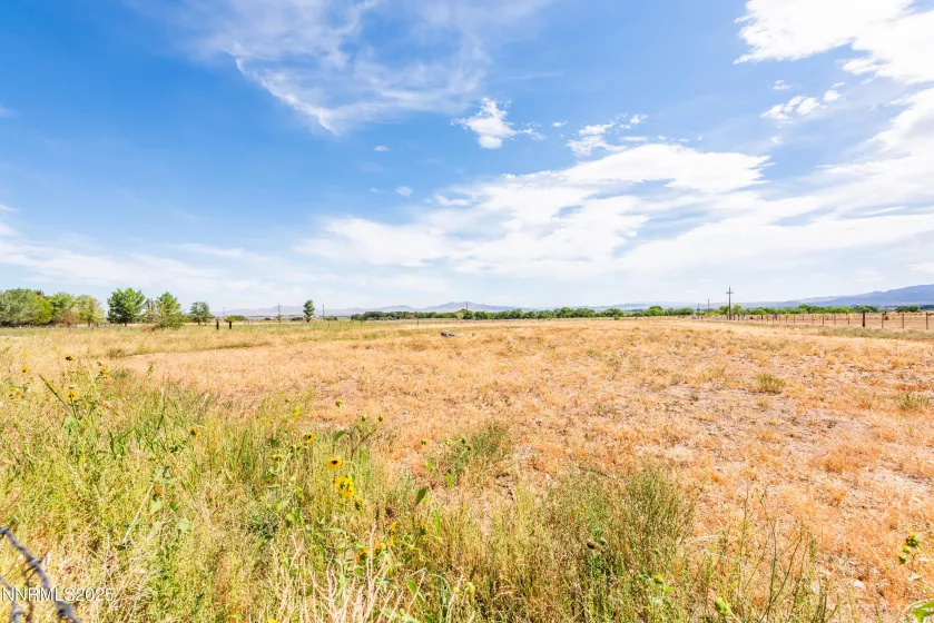 81 Lower Colony, Smith Valley, Nevada 89444, 3 Bedrooms Bedrooms, ,2 BathroomsBathrooms,Residential,Residential,Lower Colony,250055070