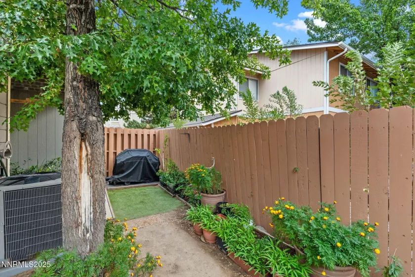 1563 Steven, Sparks, Nevada 89431, 3 Bedrooms Bedrooms, ,2 BathroomsBathrooms,Residential,Residential,Steven,250055109