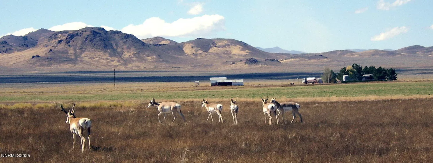 6645 Antelope, Austin, Nevada 89310, ,Land,Residential,Antelope,250055145