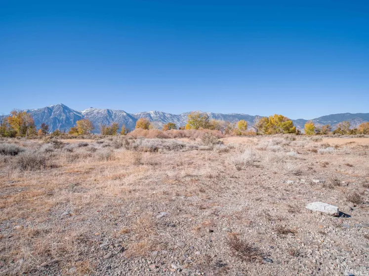 1300 Centerville, Gardnerville, Nevada 89410, ,Land,Residential,Centerville,240014400