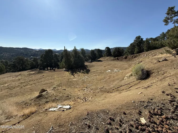 1940 Morgan, Reno, Nevada 89521, ,Land,Residential,Morgan,250055191