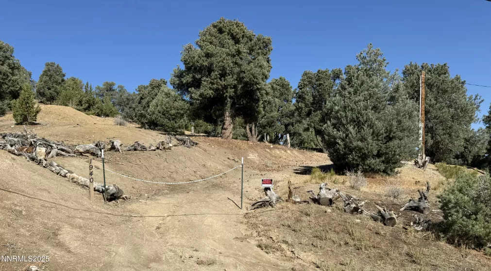 1940 Morgan, Reno, Nevada 89521, ,Land,Residential,Morgan,250055191