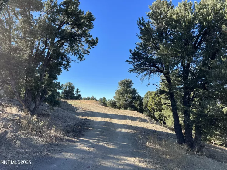 1940 Morgan, Reno, Nevada 89521, ,Land,Residential,Morgan,250055191