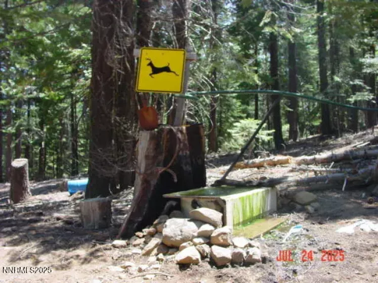 2729 Water, Clio, California 96106, ,Land,Residential,Water,250055211