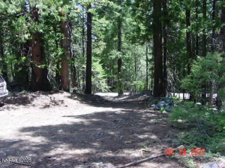 2729 Water, Clio, California 96106, ,Land,Residential,Water,250055211