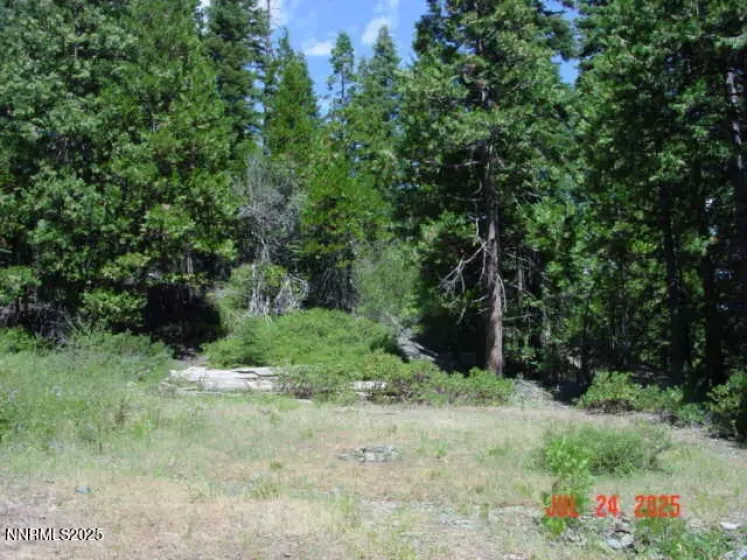 2729 Water, Clio, California 96106, ,Land,Residential,Water,250055211