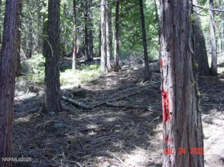 2729 Water, Clio, California 96106, ,Land,Residential,Water,250055211