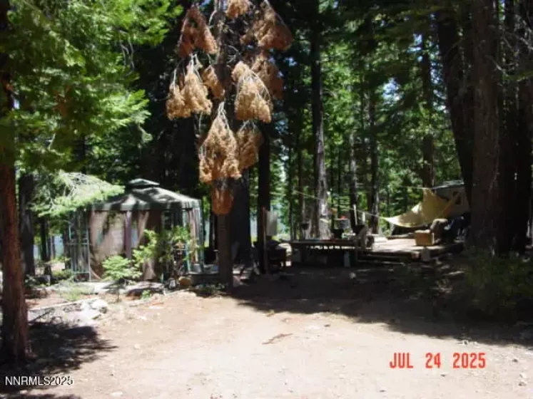 2729 Water, Clio, California 96106, ,Land,Residential,Water,250055211